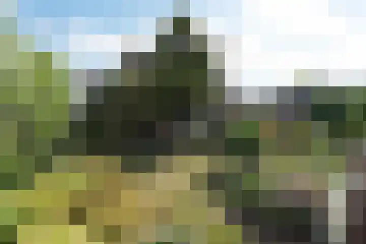 Bilderdam 29 b Leimuiden thumbnail 10
