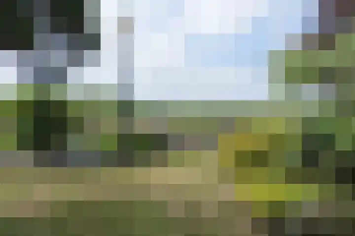 Bilderdam 29 b Leimuiden thumbnail 11