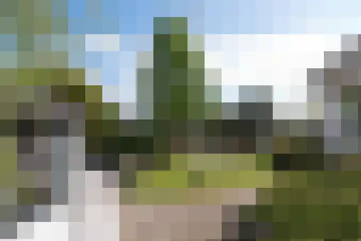 Bilderdam 29 b Leimuiden thumbnail 12