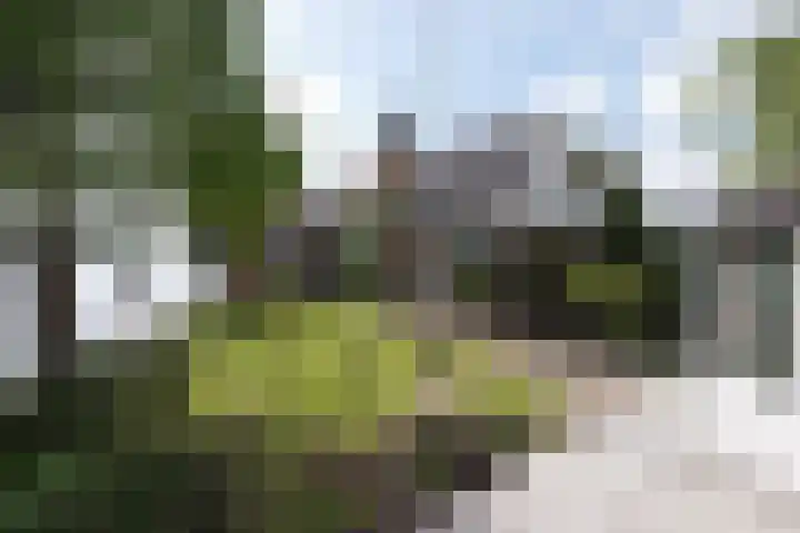 Bilderdam 29 b Leimuiden thumbnail 13