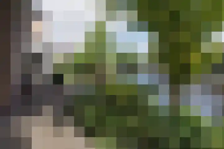 Bilderdam 29 b Leimuiden thumbnail 14