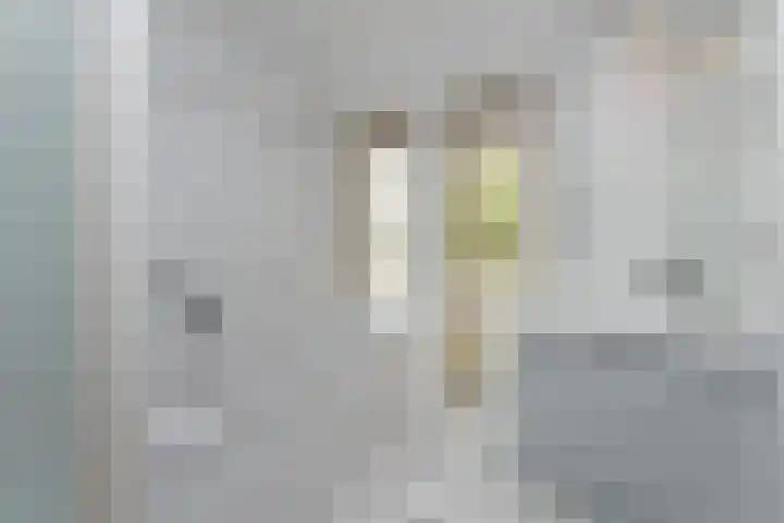 Bilderdam 29 b Leimuiden thumbnail 21