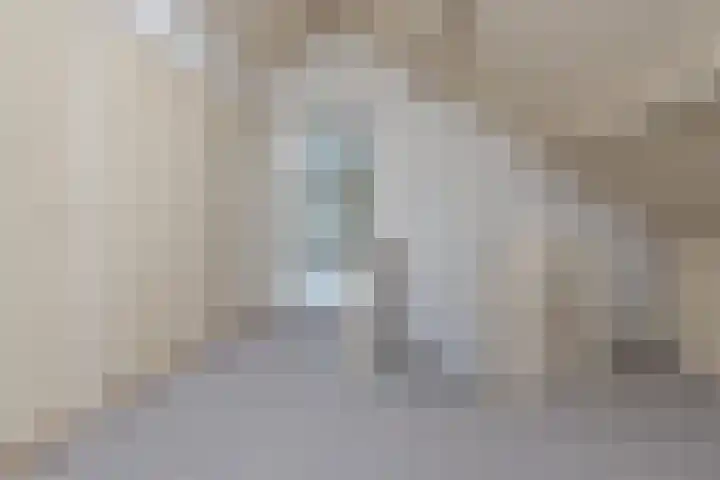 Bilderdam 29 b Leimuiden thumbnail 23
