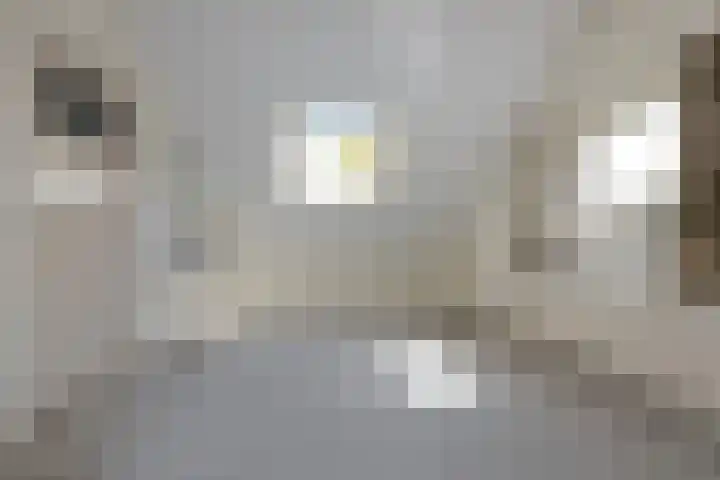 Bilderdam 29 b Leimuiden thumbnail 24