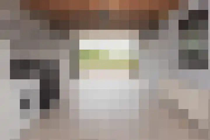Bilderdam 29 b Leimuiden thumbnail 26