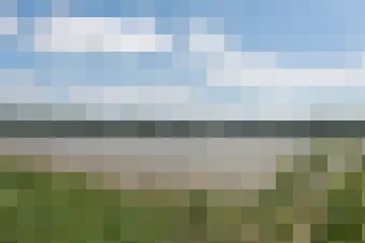 Bilderdam 29 b Leimuiden thumbnail 28