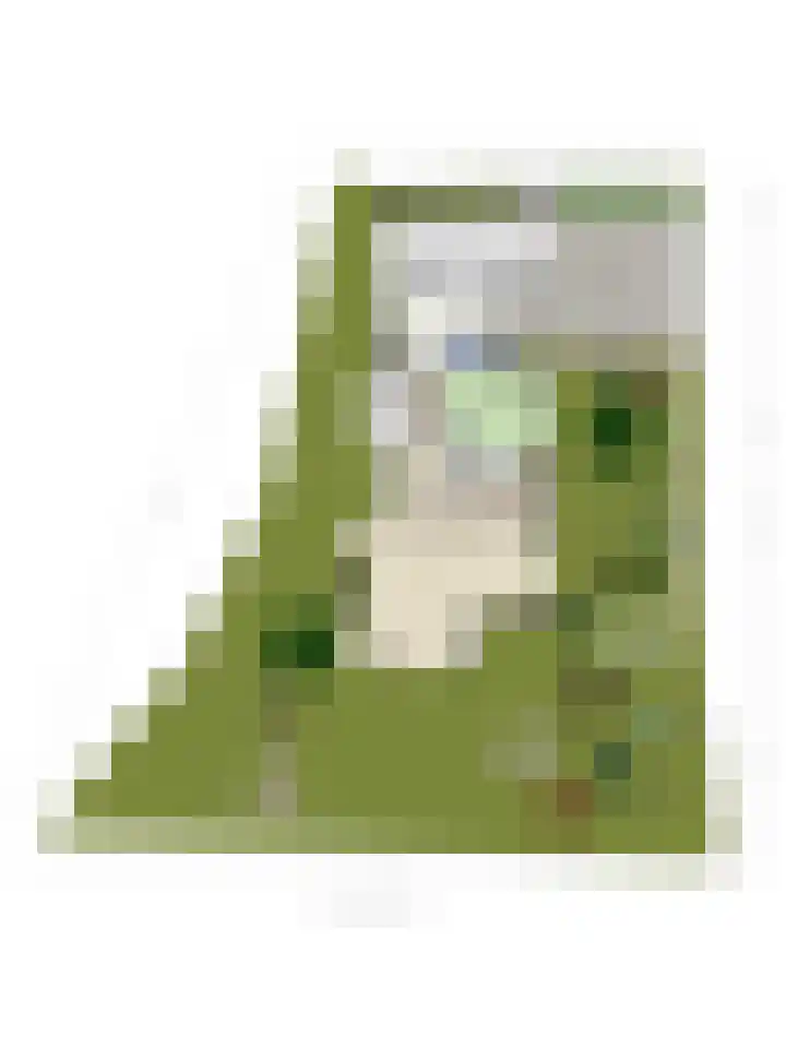 Bilderdam 29 b Leimuiden thumbnail 34