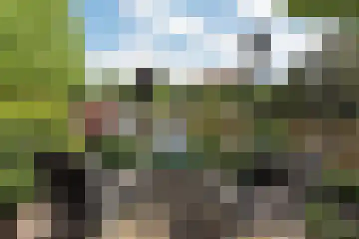 Bilderdam 29 b Leimuiden thumbnail 4