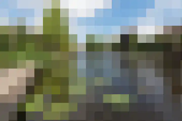 Bilderdam 29 b Leimuiden thumbnail 5