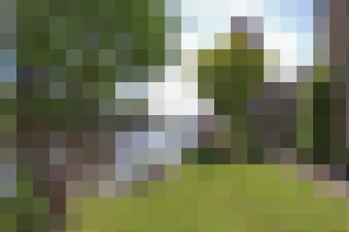 Bilderdam 29 b Leimuiden thumbnail 6