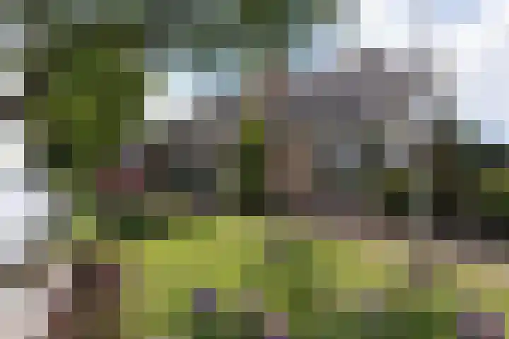 Bilderdam 29 b Leimuiden thumbnail 7
