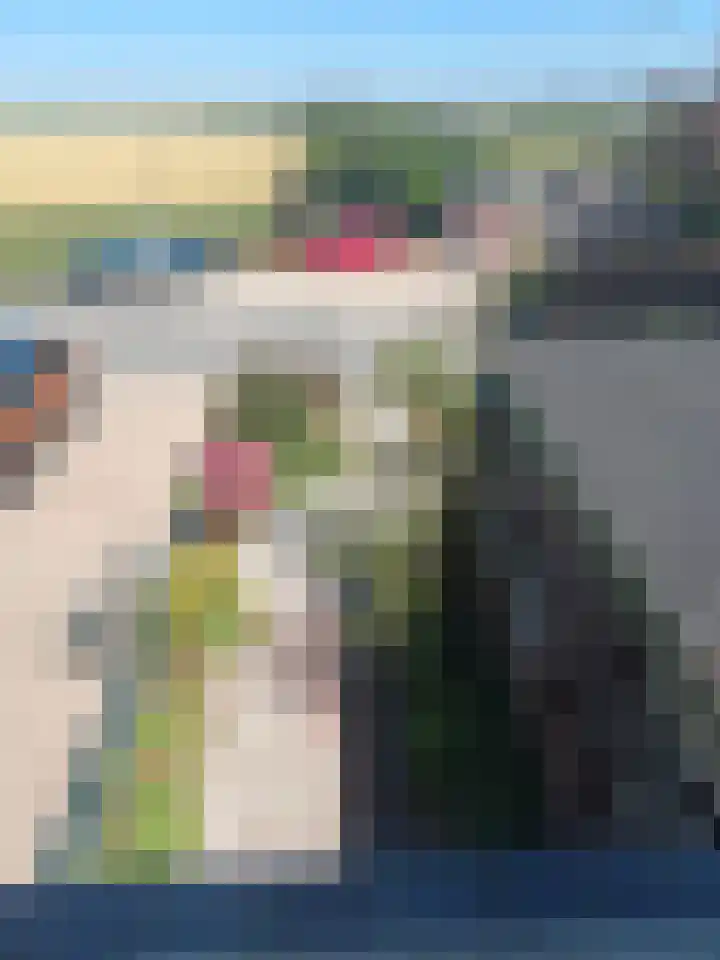 Bilderdam 7 Leimuiden thumbnail 30