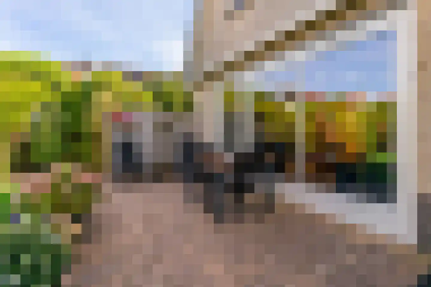 Bilderdammerweg 2 a Kudelstaart thumbnail 22
