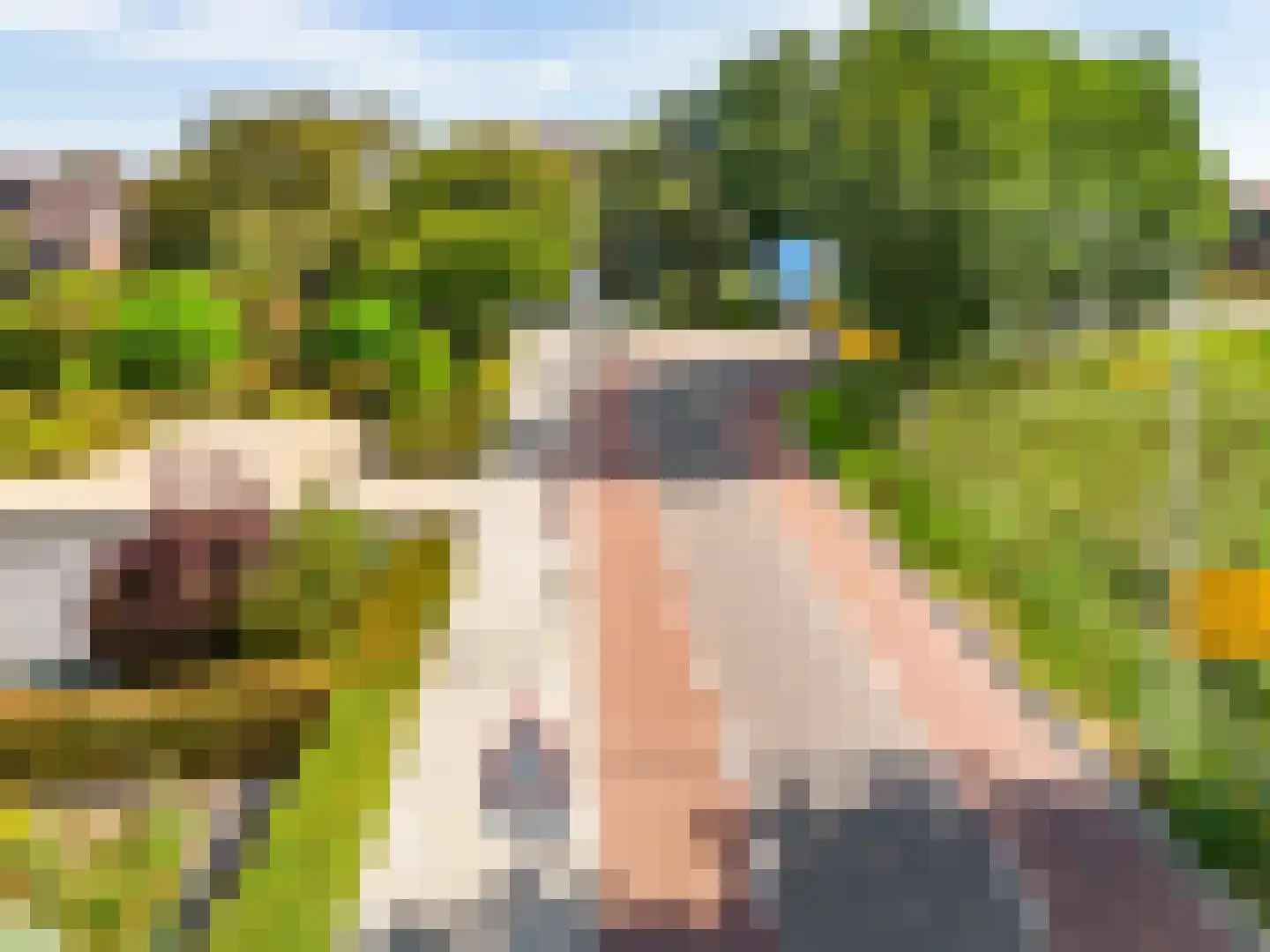 Bilderdammerweg 2 a Kudelstaart thumbnail 43