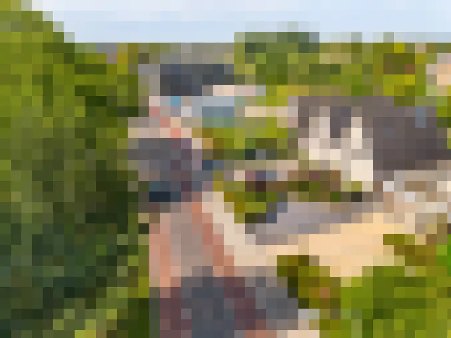 Bilderdammerweg 2 a Kudelstaart thumbnail 44