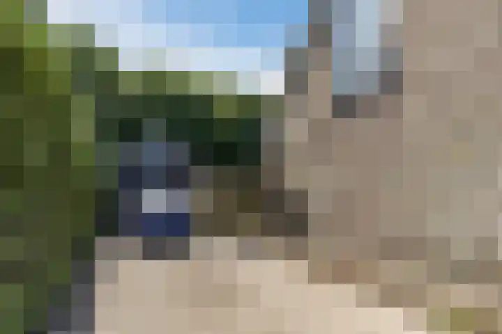 Bilderdammerweg 63 Kudelstaart thumbnail 10