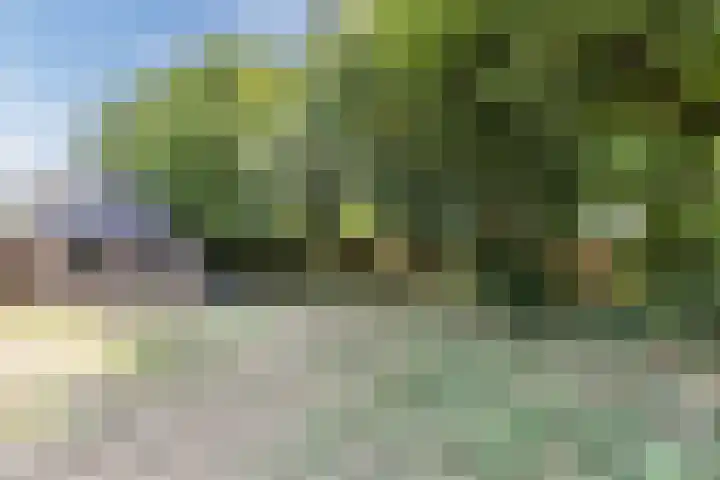 Bilderdammerweg 63 Kudelstaart thumbnail 11