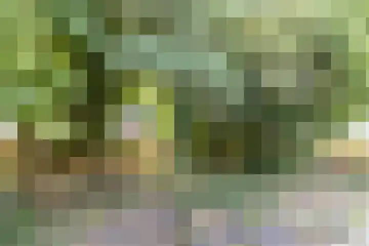 Bilderdammerweg 63 Kudelstaart thumbnail 12