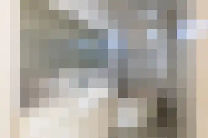 Bilderdammerweg 63 Kudelstaart thumbnail 22
