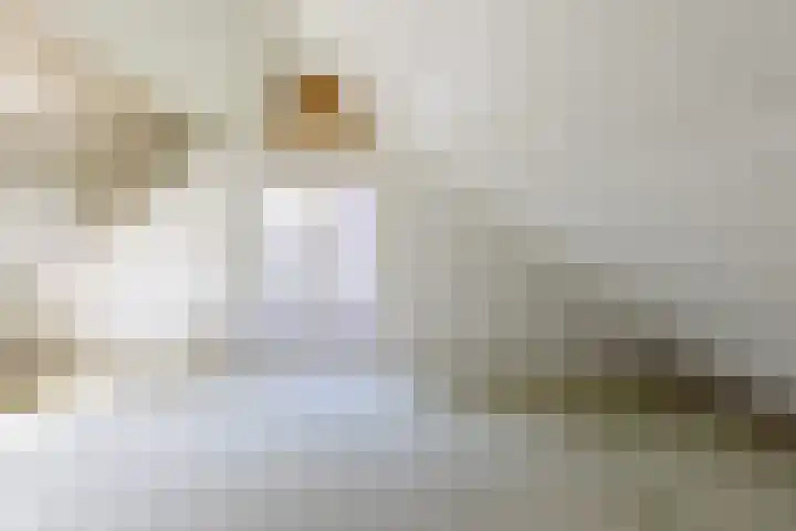Bilderdammerweg 63 Kudelstaart thumbnail 26