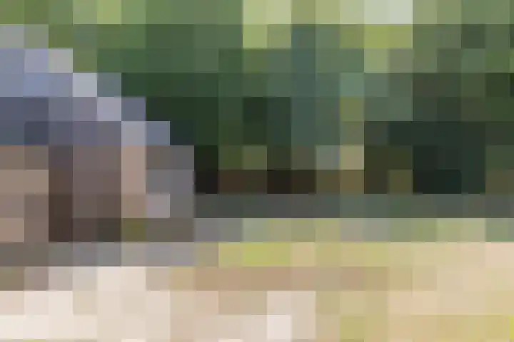 Bilderdammerweg 63 Kudelstaart thumbnail 5