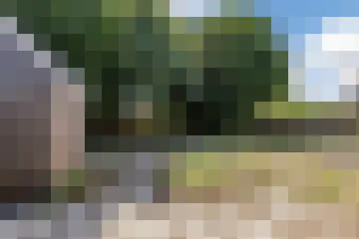 Bilderdammerweg 63 Kudelstaart thumbnail 8