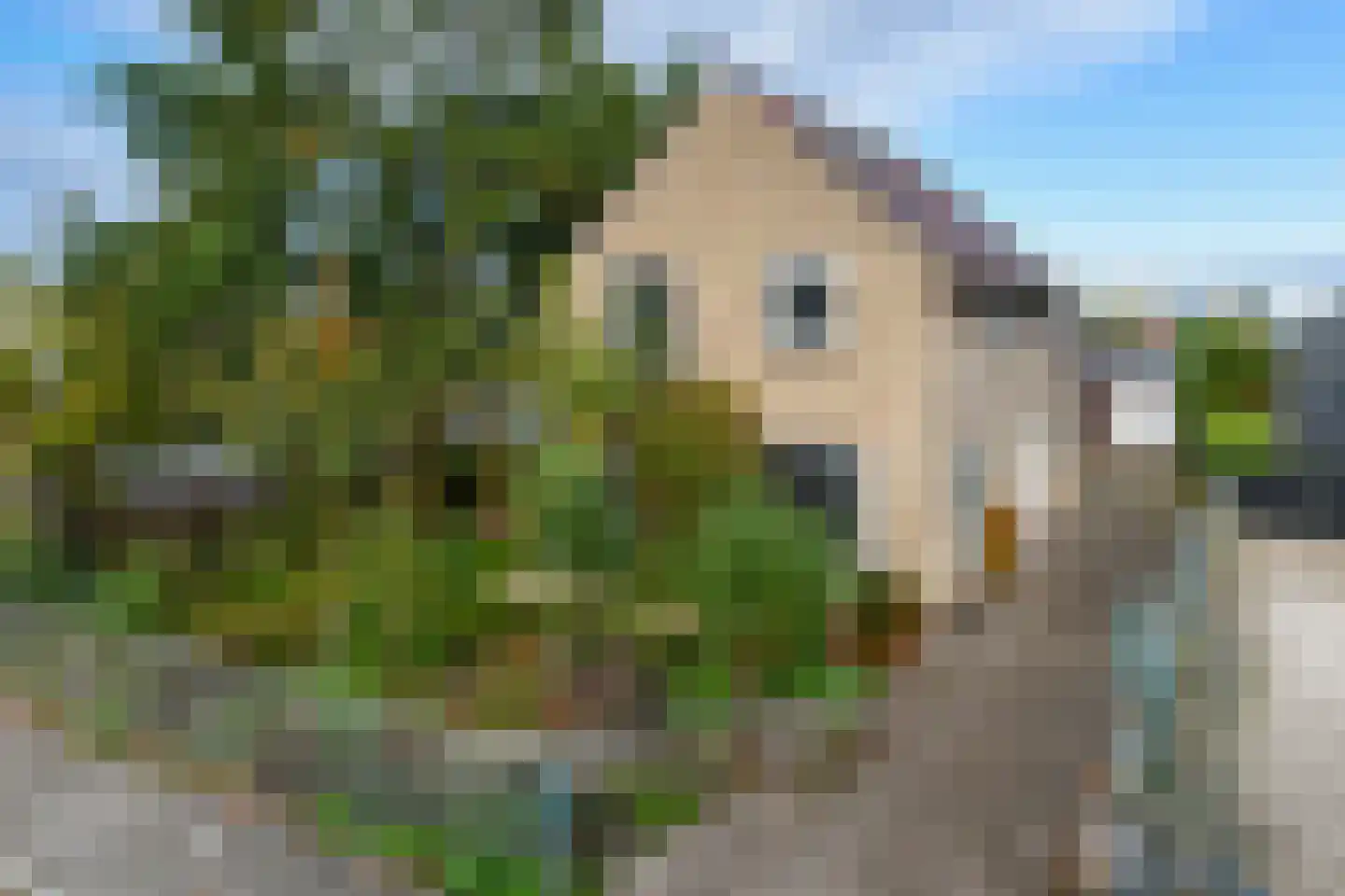 Bilderdammerweg 64 Kudelstaart thumbnail 26