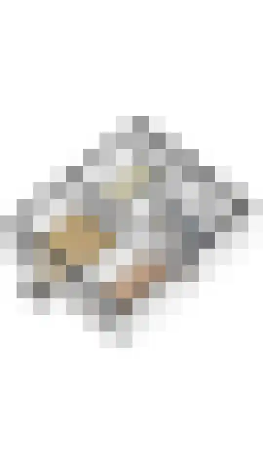 Bilderdammerweg 64 Kudelstaart thumbnail 32