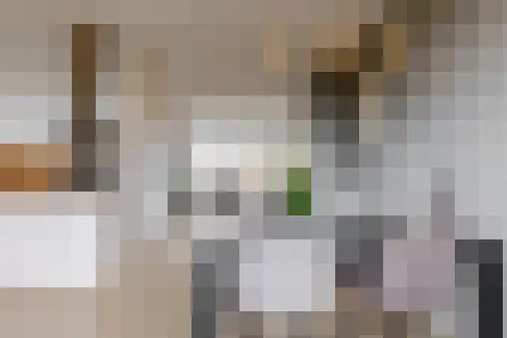 Bilderdammerweg 84 a Kudelstaart thumbnail 10