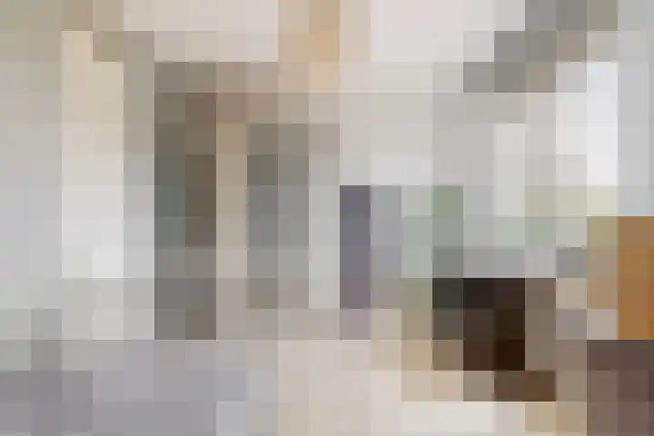 Bilderdammerweg 84 a Kudelstaart thumbnail 18