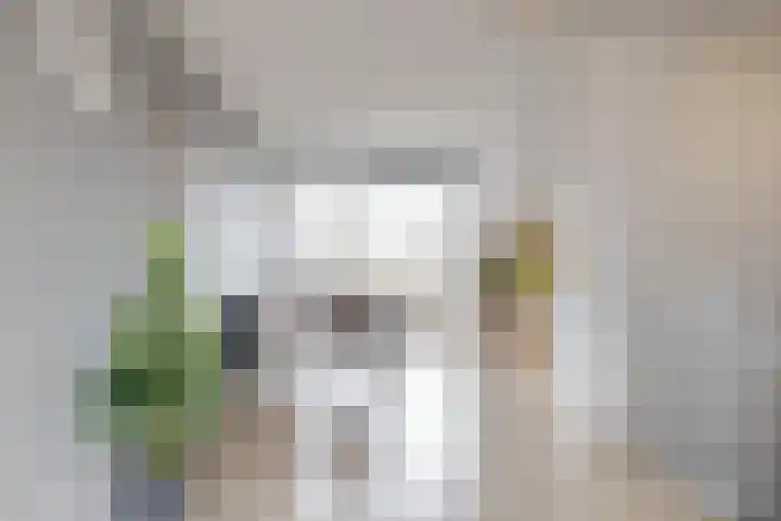 Bilderdammerweg 84 a Kudelstaart thumbnail 6