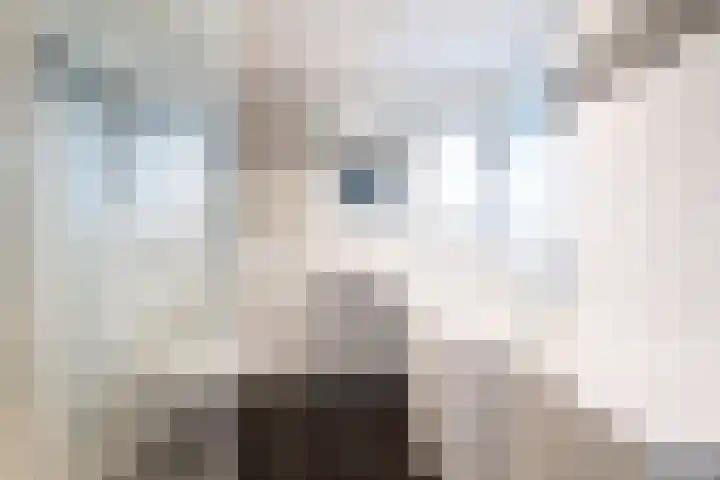 Bilderdijkhof 11 Hellevoetsluis thumbnail 15