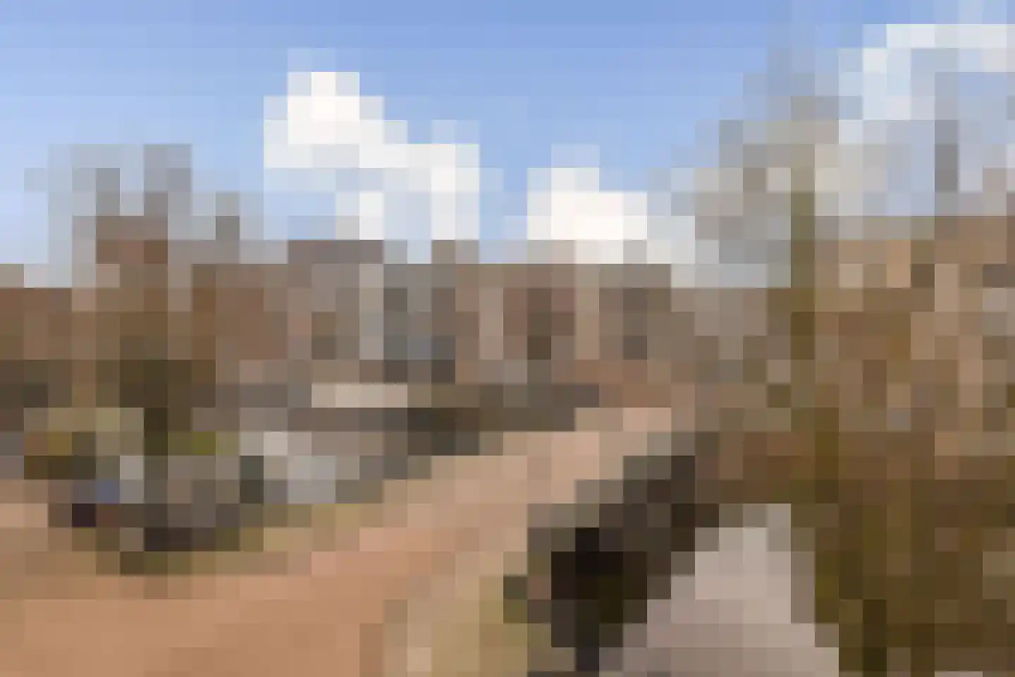 Bilderdijkkade 103 2 Amsterdam thumbnail 8