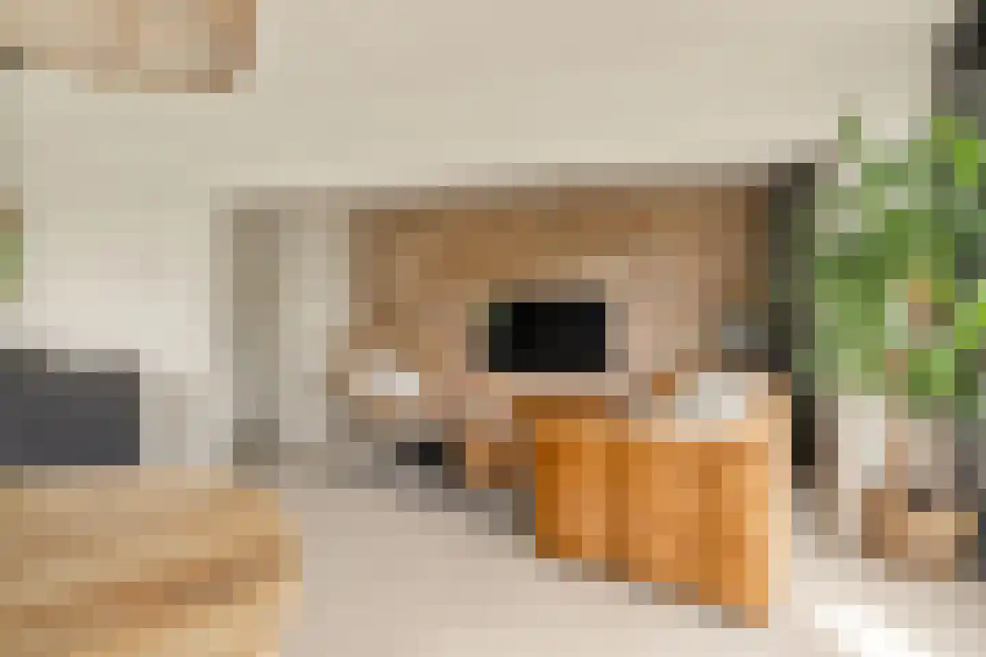 Bilderdijkkade 139 Amsterdam thumbnail 16