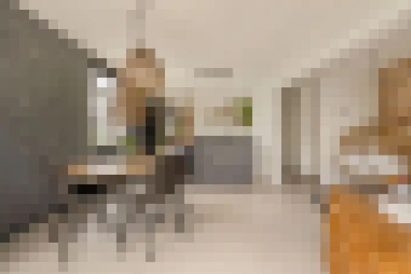 Bilderdijkkade 139 Amsterdam thumbnail 18