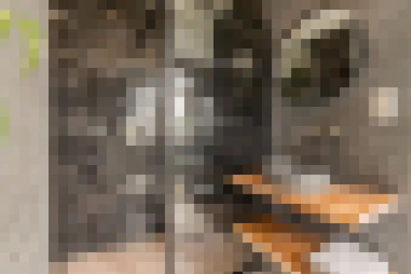 Bilderdijkkade 139 Amsterdam thumbnail 23