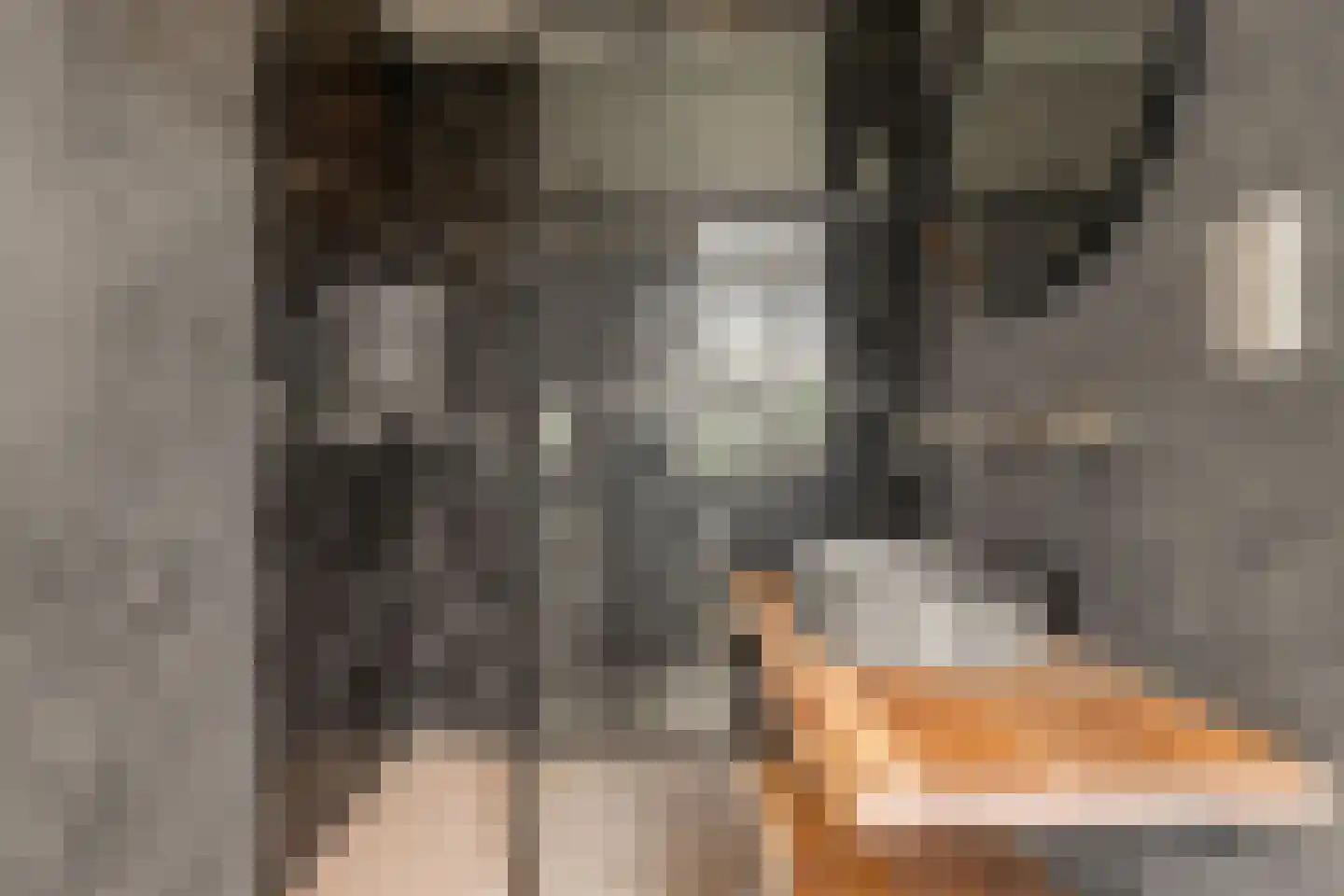 Bilderdijkkade 139 Amsterdam thumbnail 24