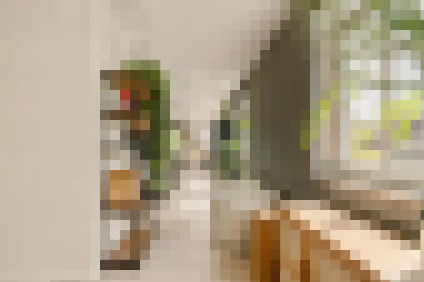 Bilderdijkkade 139 Amsterdam thumbnail 27