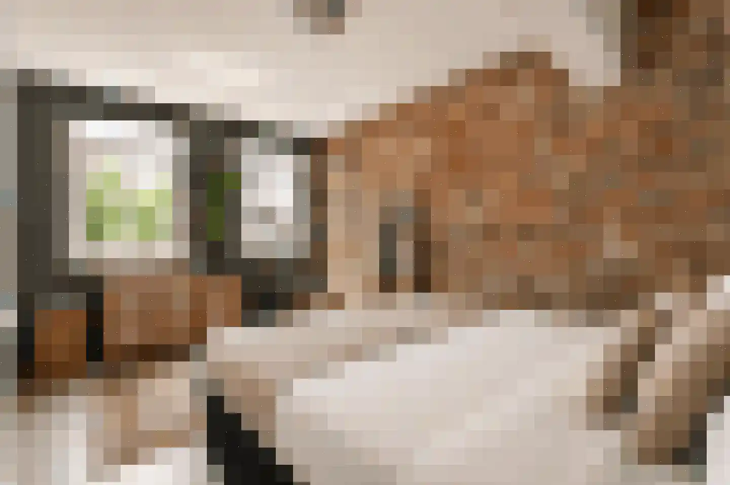 Bilderdijkkade 139 Amsterdam thumbnail 30