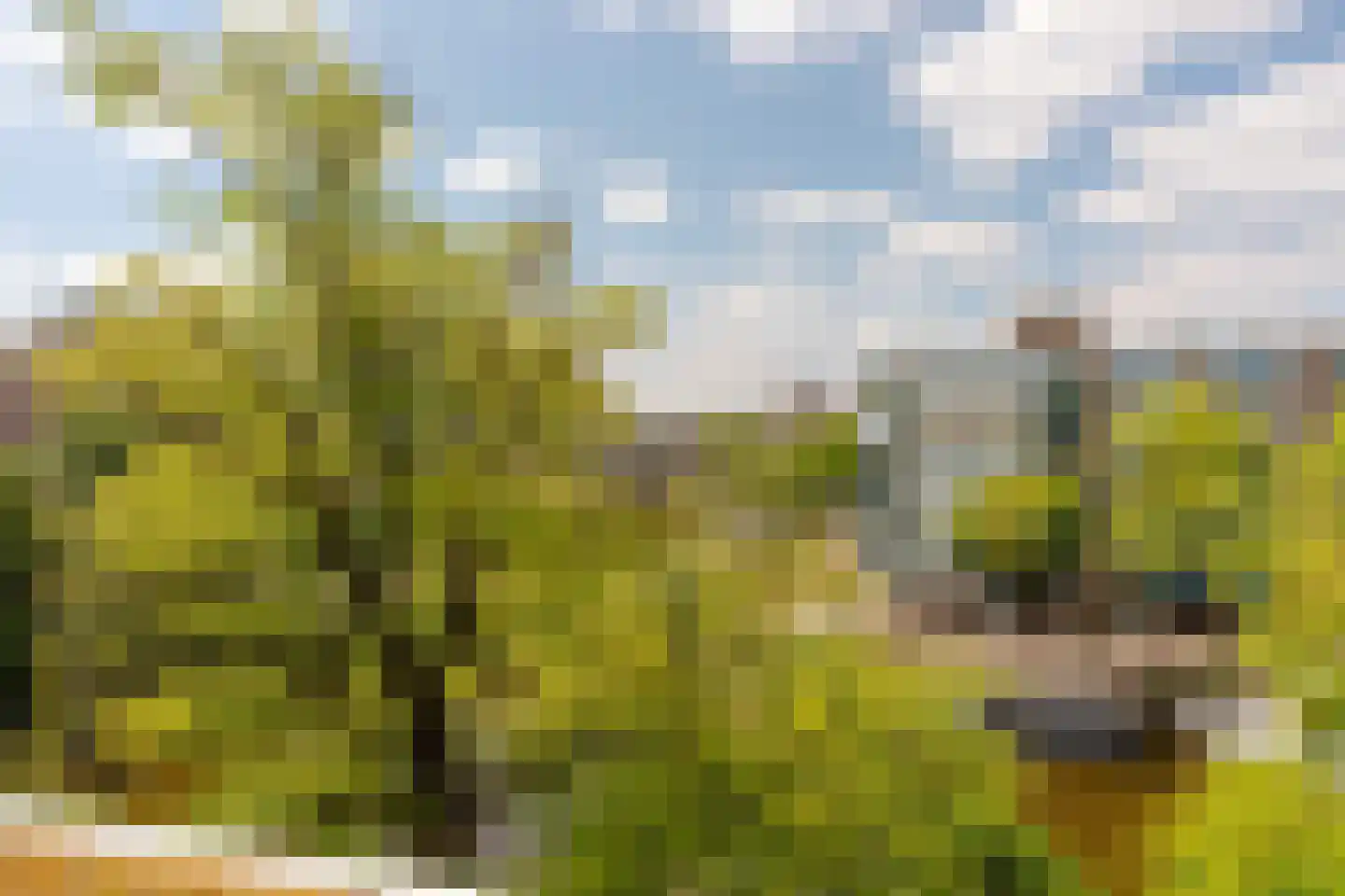 Bilderdijkkade 139 Amsterdam thumbnail 5