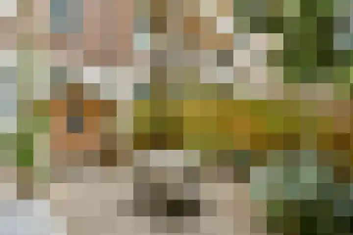Bilderdijkkade 3 H Amsterdam thumbnail 9
