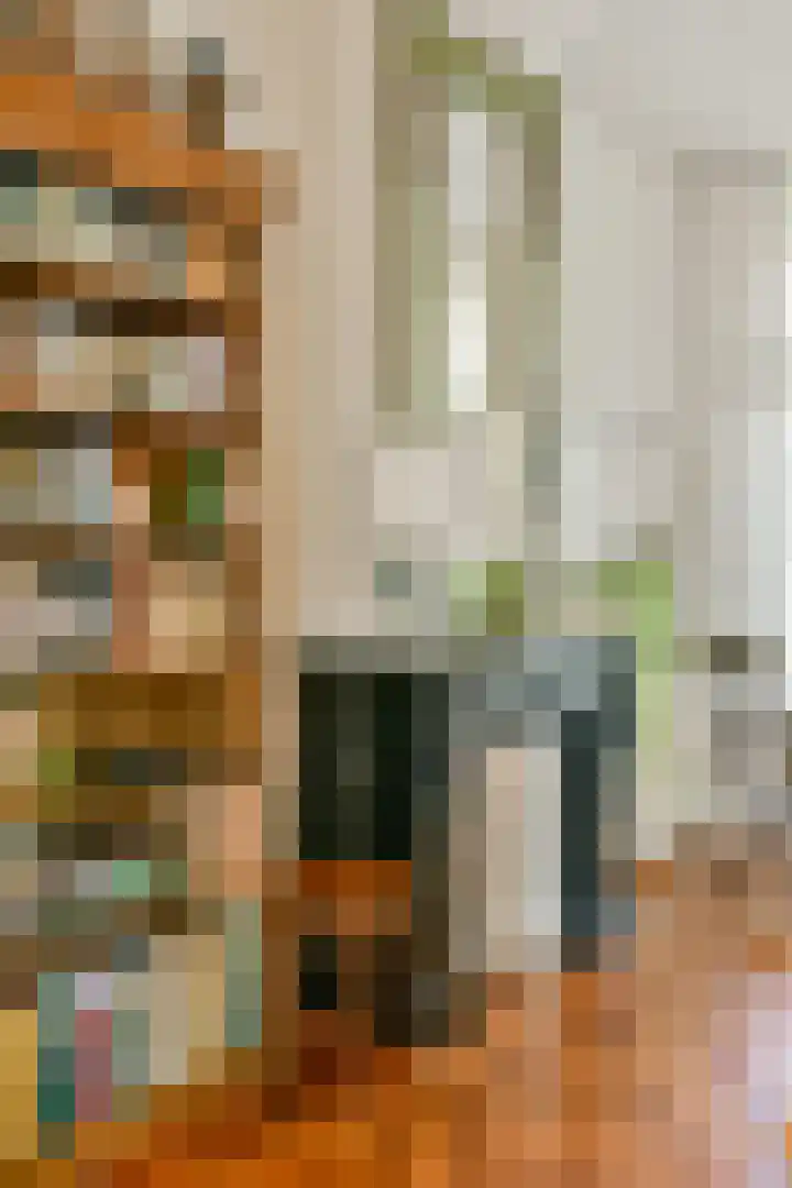 Bilderdijkkade 31 H Amsterdam thumbnail 8