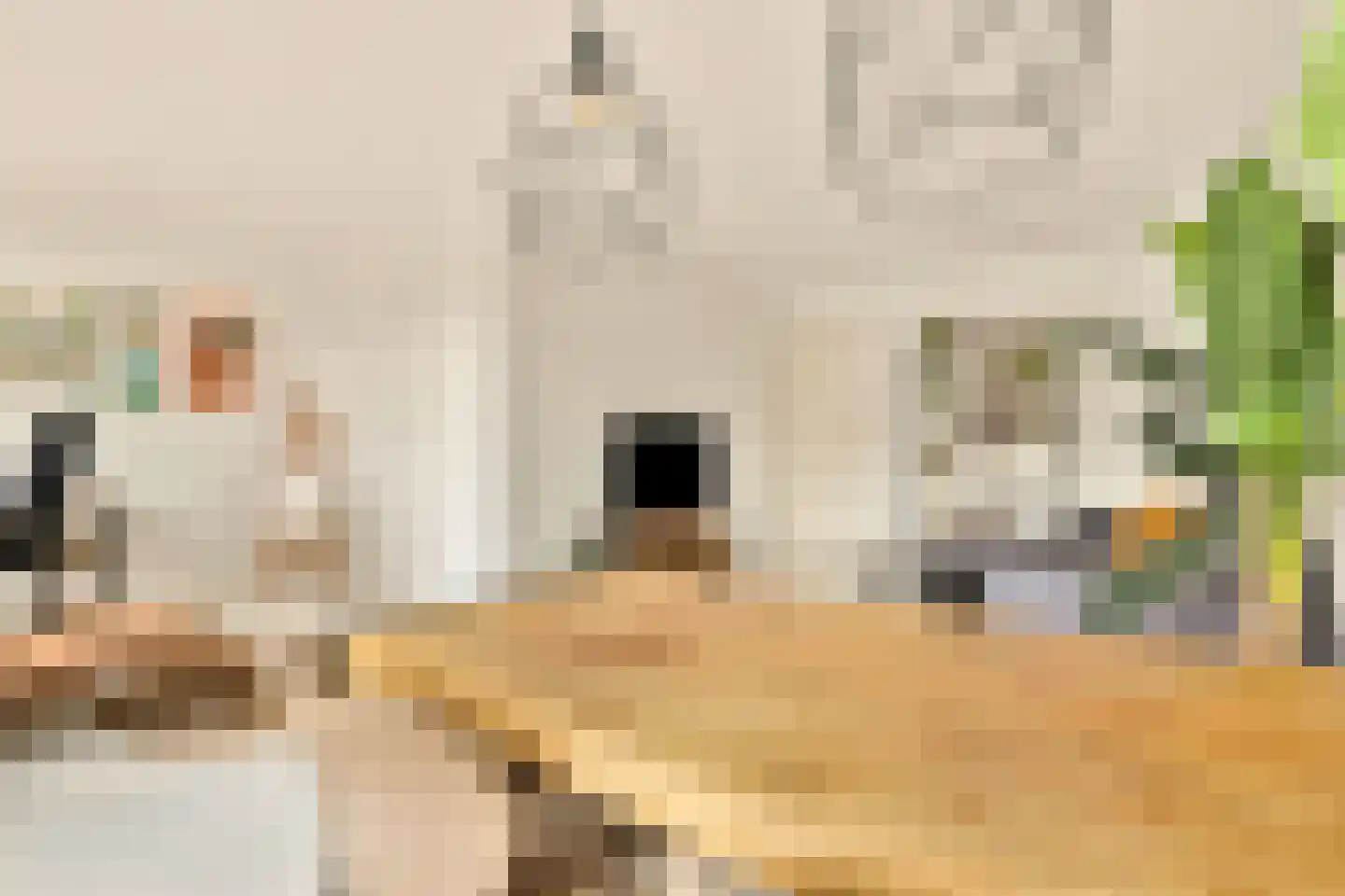Bilderdijkkade 34 A 1 Amsterdam thumbnail 6
