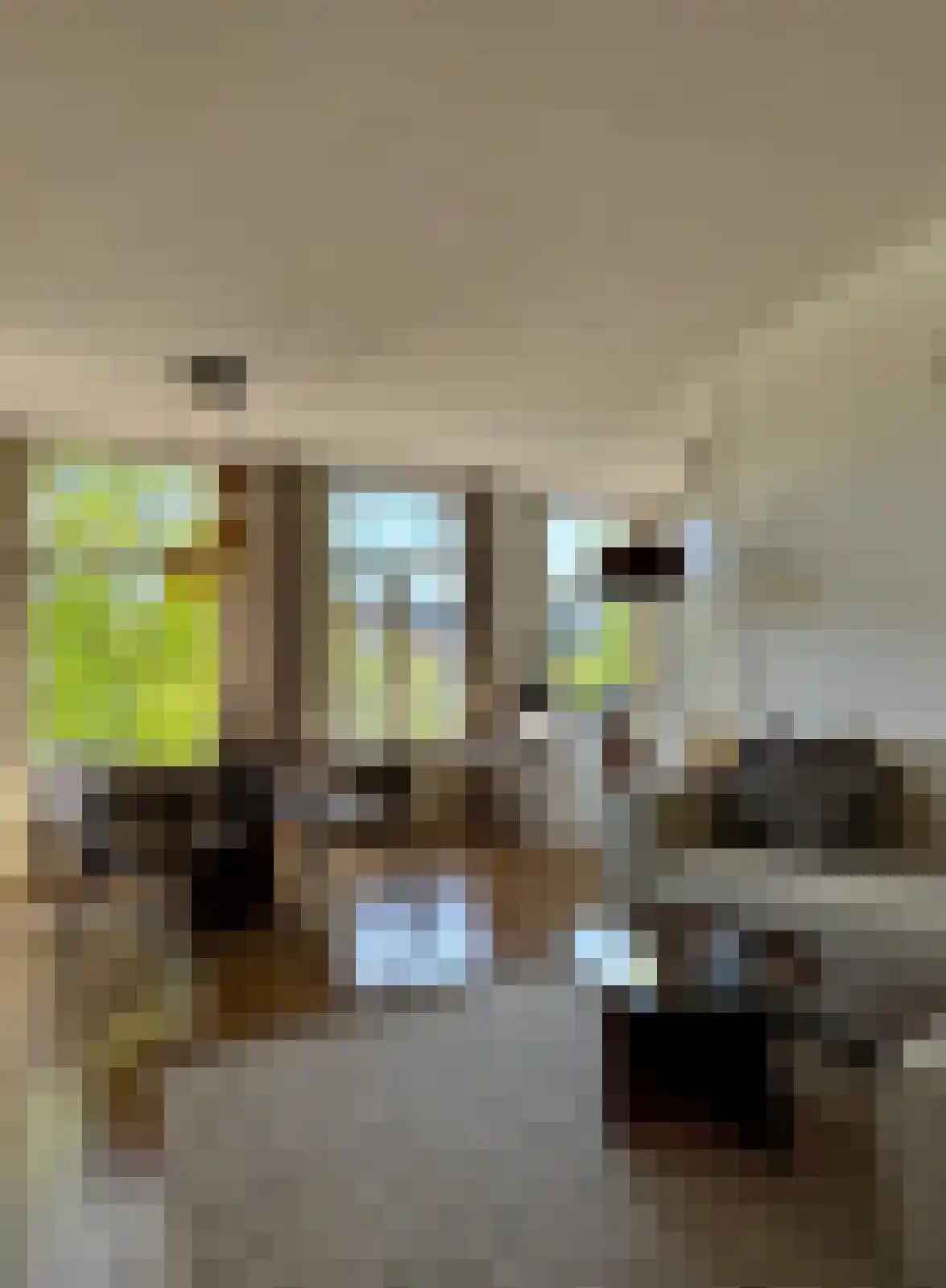 Bilderdijkkade 38 Amsterdam thumbnail 4