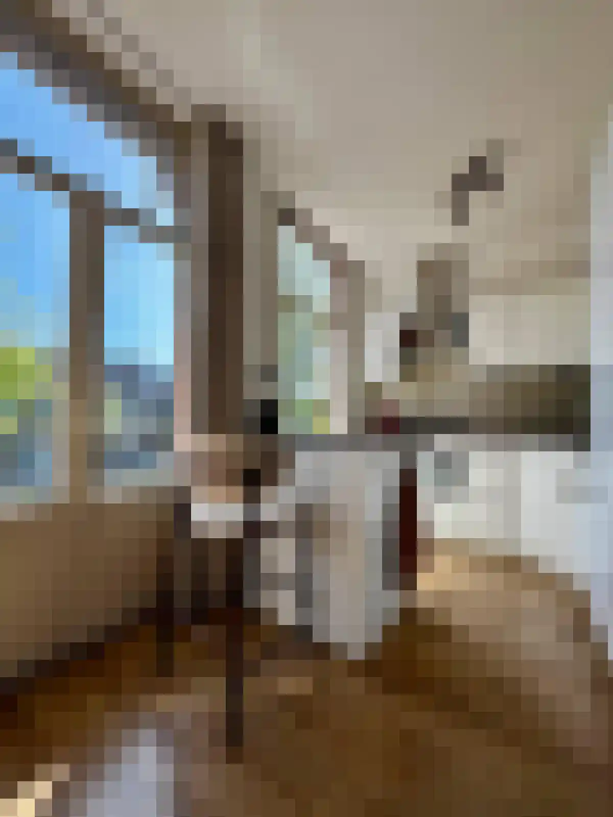 Bilderdijkkade 38 Amsterdam thumbnail 5