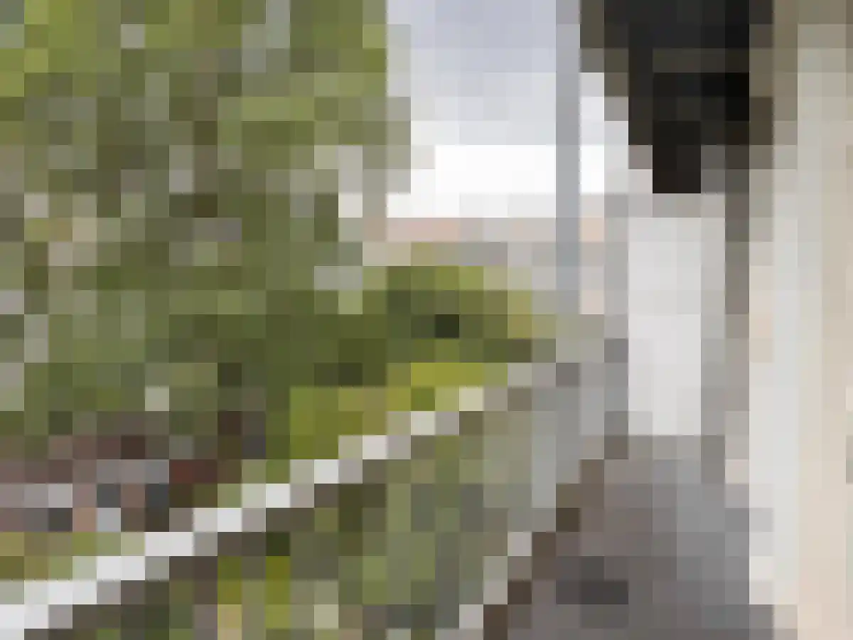 Bilderdijkkade 46 2 Amsterdam thumbnail 6