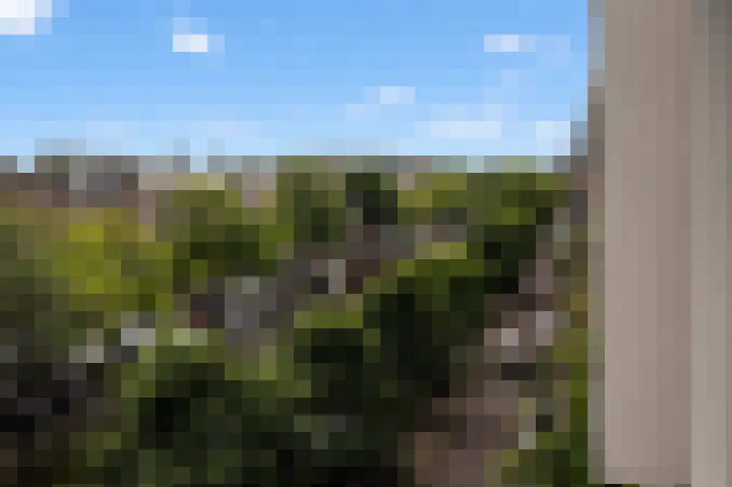 Bilderdijkkade 50 A 8 Amsterdam thumbnail 12