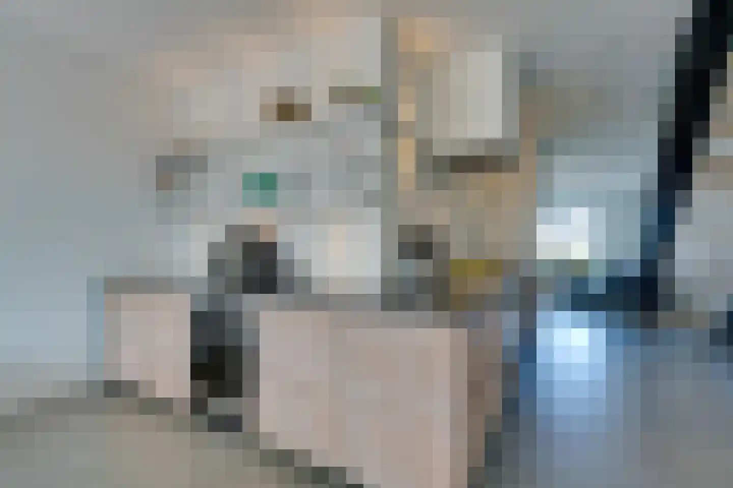 Bilderdijkkade 50 A 8 Amsterdam thumbnail 17