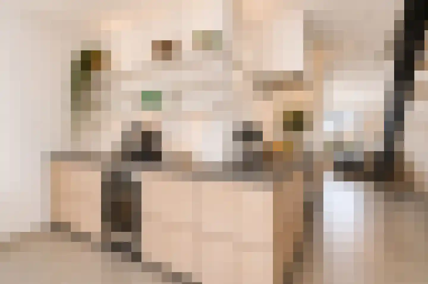 Bilderdijkkade 50 A 8 Amsterdam thumbnail 19