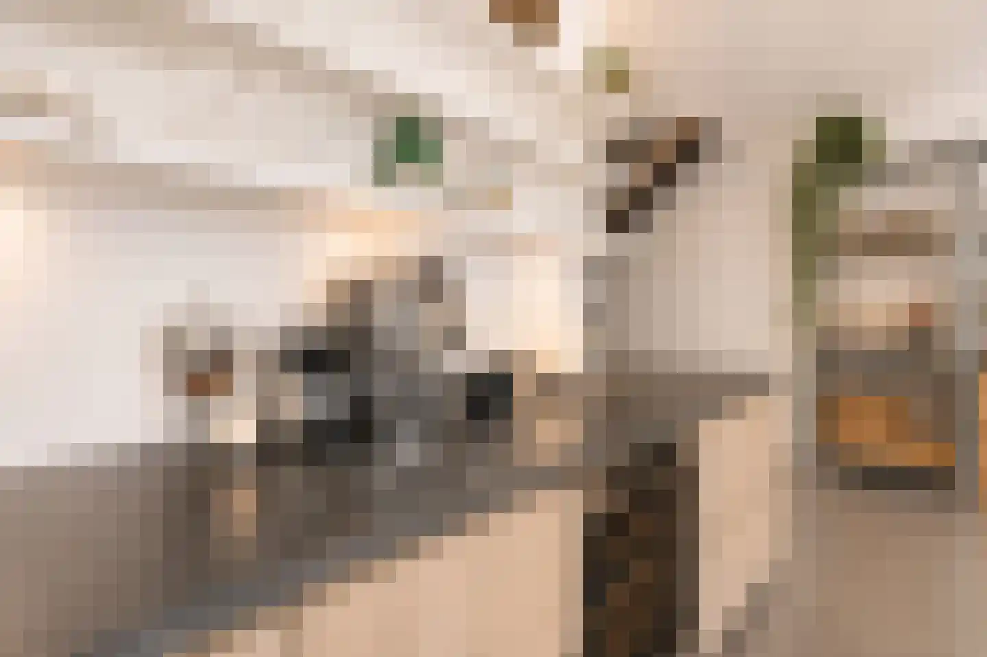 Bilderdijkkade 50 A 8 Amsterdam thumbnail 20